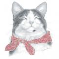 RED BANDANNA -potisk kočky na tričko