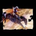 COWBOY-RODEO 2 - kovboj na koni