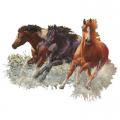 Tři koně v běhu- potisk koně na tričku