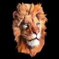 LEV 3D - tričko se lvem