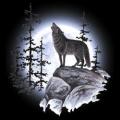 VLCI A MĚSÍC - vlk na tričko