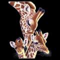 ŽIRAFA A MLÁDĚ - žirafy na triču