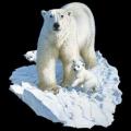 LEDNÍ MEDVĚDI -lední medvěd - na tričko